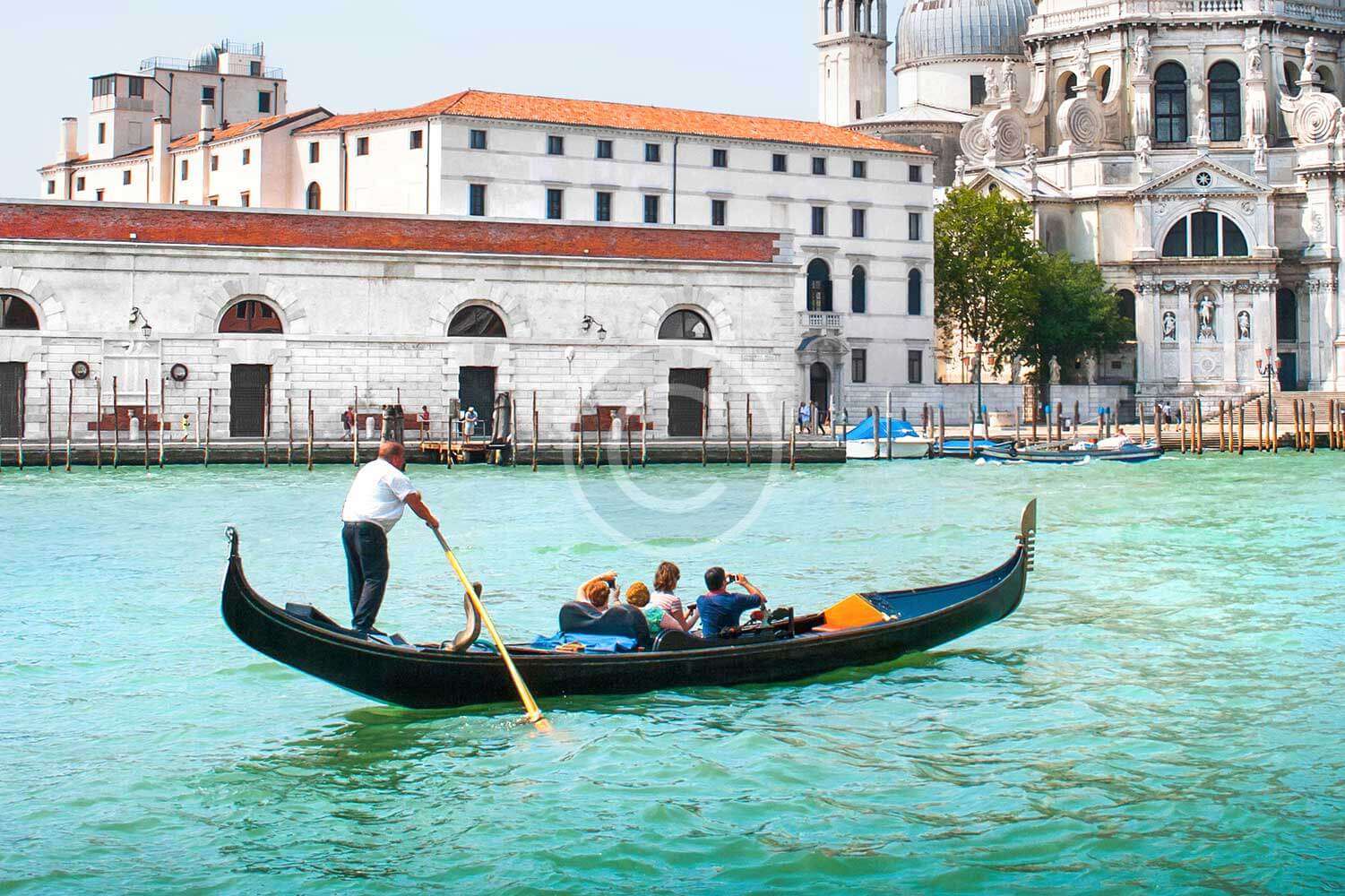 Amazon to the Andes - Görsel 3