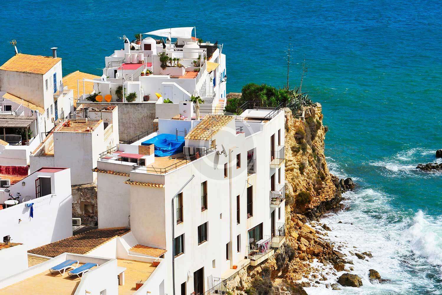 Amazon to the Andes - Görsel 4